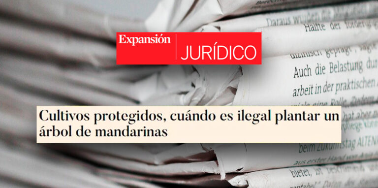 Varios Medios | Laura Montoya comenta una sentencia sobre la prescripción de las infracciones de variedades vegetales