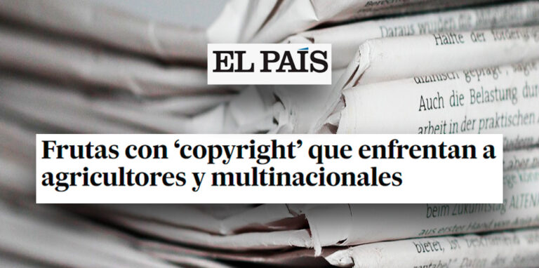 El País | María Corral participa en un reportaje sobre la protección de variedades vegetales